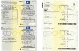 certificat-immatriculation